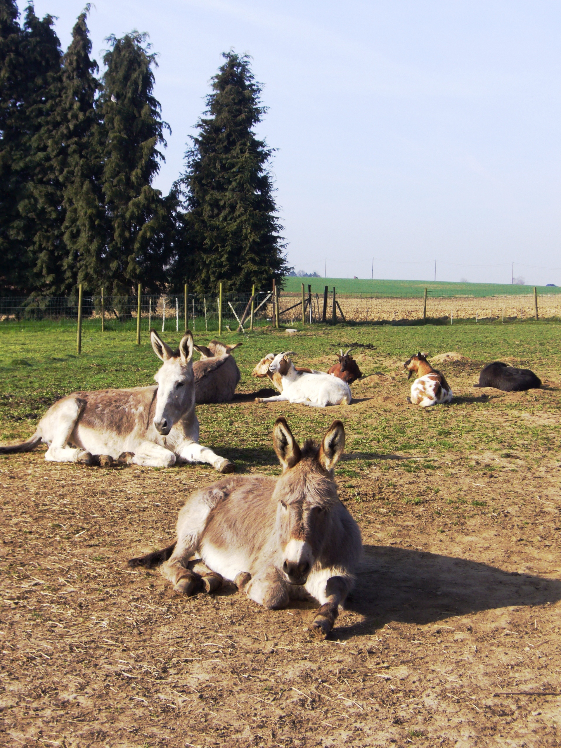 rencontre particulier particuliere